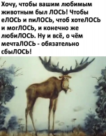  : .jpg