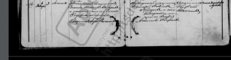  : Captura de pantalla (126).png