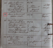 227.JPG, 183033 