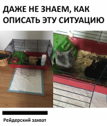 95E533F3-23BF-45CE-83CF-37C4350010CA.jpeg, 298110 