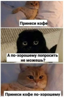 ������������� ����: 53.png