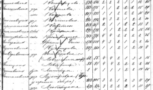 7.JPG, 164732 
