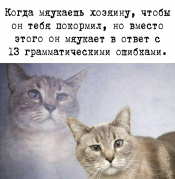 R8E1SA0hEHk.jpg, 79287 