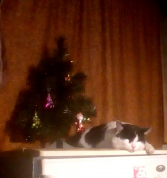 IMG_20201226_223927.jpg, 275979 