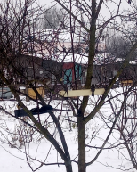  : IMG_20201223_122405.jpg