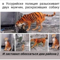  :  .jpg