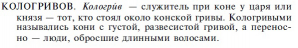  : .jpg