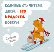  : 013.jpg