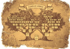  : arbre-genealogique.jpg