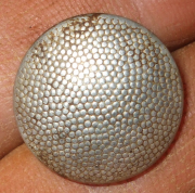  : DSCF00640.jpg