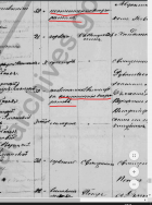  : 1870 sent. smert Nikolay Erenmeev  prichna smerti.jpg