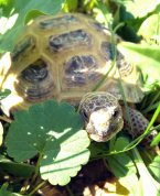 ������������� ����: IMG_20210114_154210.jpg