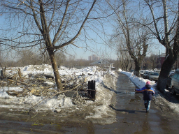 DSC01647.JPG, 344035 