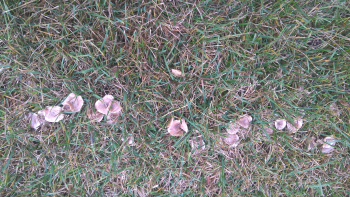  : WP_20201021_11_46_34_Pro.jpg