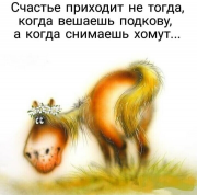  : .jpg