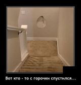  : _2021-02-05_163151.png