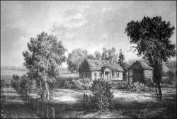  : vlvlviln80-07.jpg