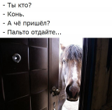  : oi_d7231a4bd2734578b2d2c2867c40cedd_big.jpg