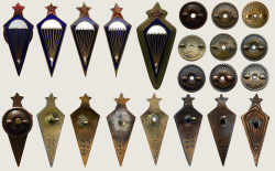  : Paratrooper_Breast_Badges_1931.jpg
