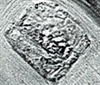  :  .,  -,   1, , 4 , . 126,1 (126.3 -  ) %E