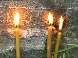  : b_207196.jpg