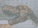 ������������� ����: �� 035_resize.jpg