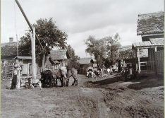  : kaluga15.jpg