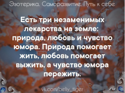  : .jpg
