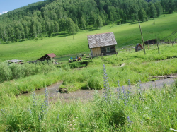  : P1018348 1.jpg