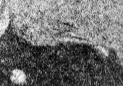  : 1200-2pg.jpg