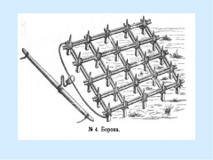 Elnya_2.jpg, 180568 