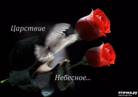  : 106307_89370.jpg