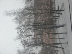 : 20210408_084010.jpg