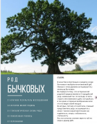  : Screenshot_20210417-061425_Canva.jpg
