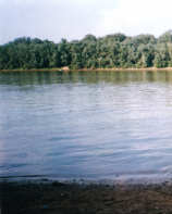  : IMG_20210124_0005.jpg