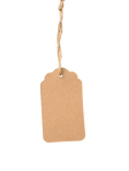  : 16-49-57-blank-brown-rectangular-brown-paper-tag-on-a-rope-isolated-on-white-background-template-for-price-discount_116441-16064.jpg