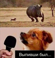 : 05e_5Dpl4oQ.jpg