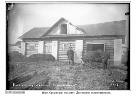 29 (1920 2)-16.jpg, 662772 