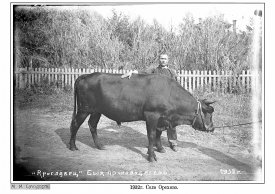  : 29 (1920 2)-11.jpg