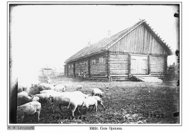 29 (1920 2)-4.jpg, 690541 