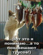  :   .jfif