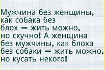  : .jpg