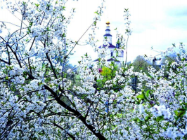  : 192546171_2980759698859646_6684093694030332119_n.jpg