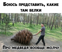  :   .jpg