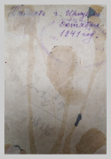103.jpg, 325013 