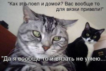  : JTnwLFEkp7o.jpg