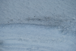  : DSC_0244.JPG