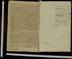 3.jpg, 1381762 