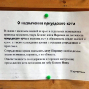  : .jpg
