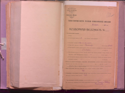 pic_2020-12-30_090901.jpg, 105421 